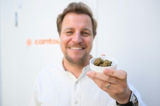 High times for German cannabis firm amid medical boom