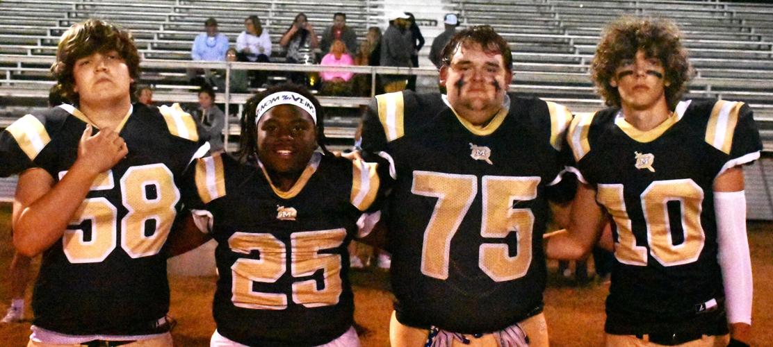 Meadowview falls again but moves in the ‘positive direction’