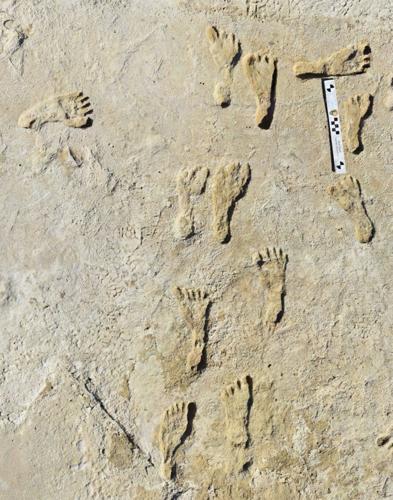 Humans present in North America 10,000 years earlier than thought
