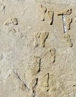 Humans present in North America 10,000 years earlier than thought