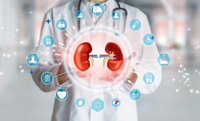 Poor Kidney Health Might Influence Dementia, Alzheimer's Risk