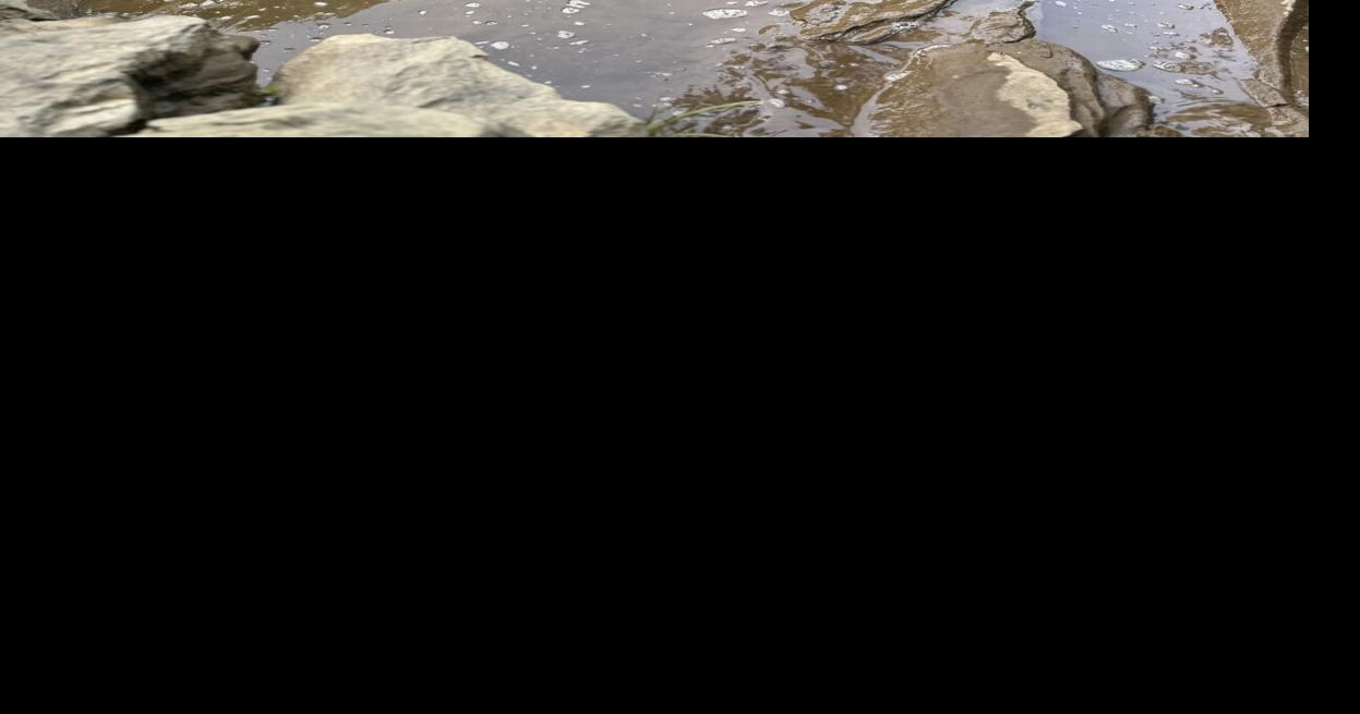 Teacher completes 11day kayak trip down Cahaba River Lifestyle