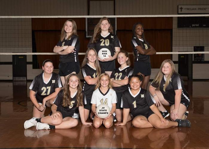 Meadowview girls JV volleyball team wins state championship