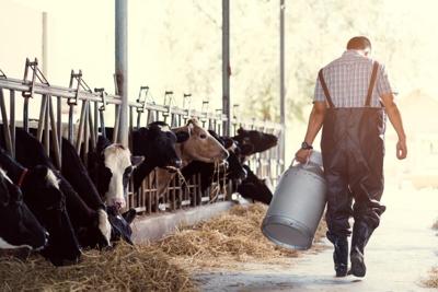 USDA Orders Testing of Milk Supply for Presence of Bird Flu Virus