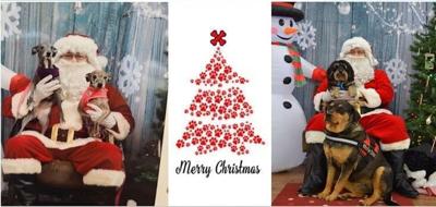 Wannabe Rescued to host Annual Santa Photos