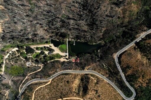 Disaster-hit Chilean park sows seeds of fire resistance