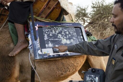 On patrol for jihadists with Mauritania's camel cavalry