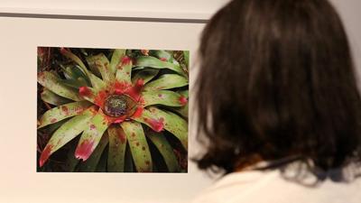 Oscar-winner Steve McQueen on the flowers that outlived empire