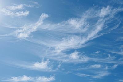 Scientists Develop Rapid Bird Flu Detector for Airborne Test