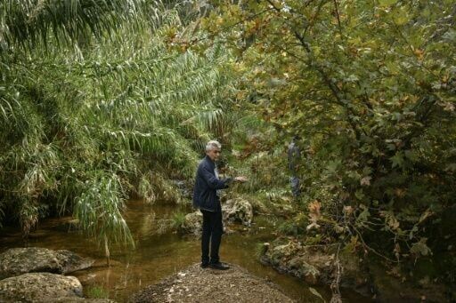 Locals consider the Kifissos stream an 'oasis' but fear for its future
