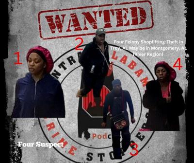 Theft suspects in Troy