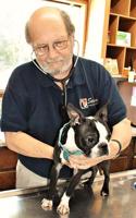Selma veterinarian hangs up his stethoscope after 43 years … sort of