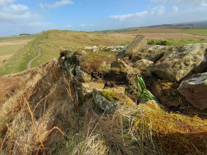 SWNS_HADRIANS_POO_002_140751