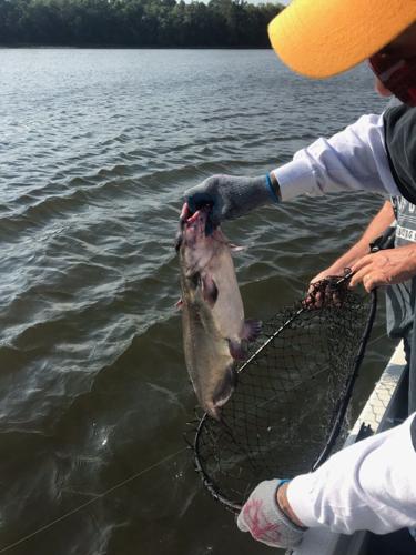 Catfish fishing