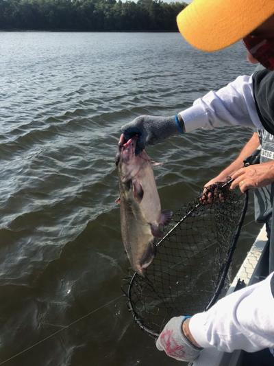 Catfish fishing