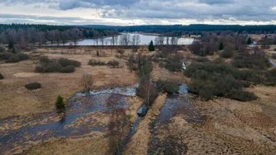 Dam fine: beavers save Czech treasury $1 million