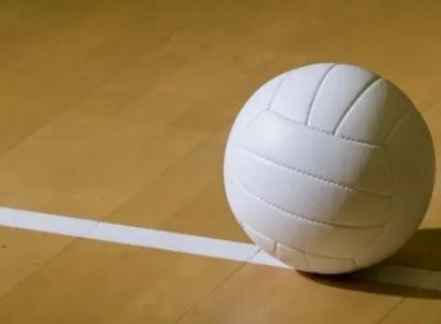 Volleyball stock
