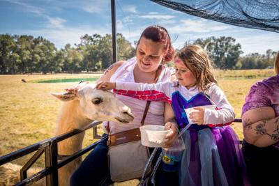Spooky Safari at Alabama Safari Park