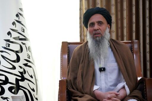 Afghan Taliban government swaps prisoners with US