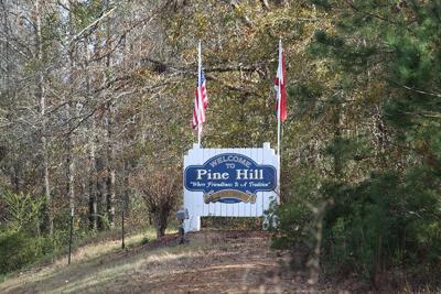 Pine Hill sign.JPG