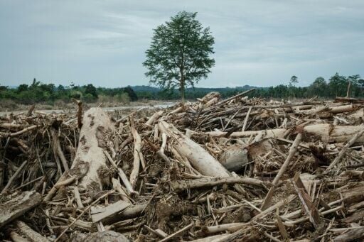 Flooding and landslides made worse by deforestation killed over 1,000 people in Sumatra last year