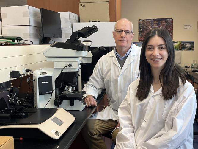 Cats could hold key to curing breast cancer and other deadly forms of the disease