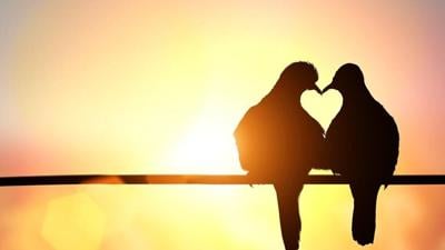 Love, history and harmony: Valentine’s Day then and now