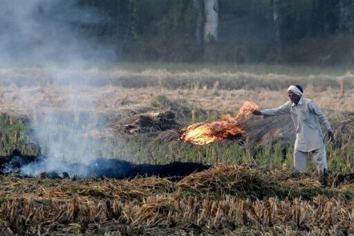 The farm fires helping to fuel India's deadly air