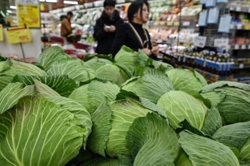 Climate change cooks up Japanese 'cabbage shock'