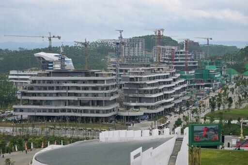 Indonesia deforestation rises for third year running: NGO
