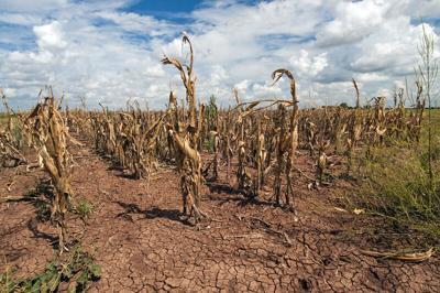 Drought