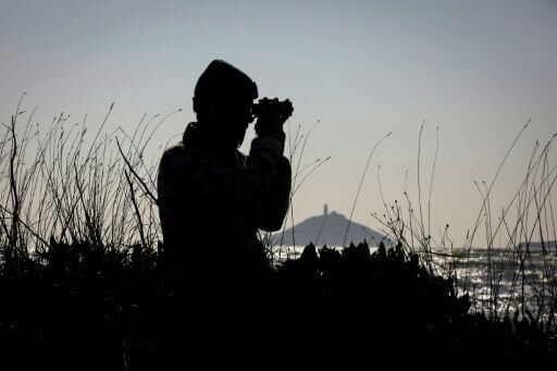 In tune with nature: expert sounds out all of Ireland's bird species