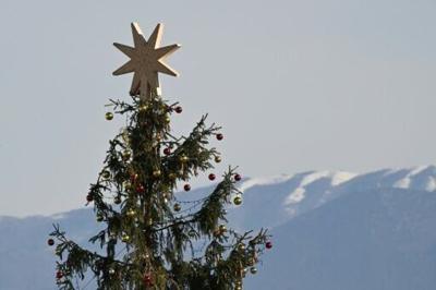 Sweden says Christmas tree needles safe to eat -- after Belgian warning