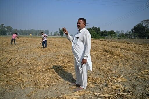 The farm fires helping to fuel India's deadly air