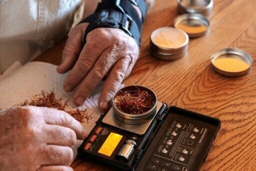 New to South Africa, saffron holds promise