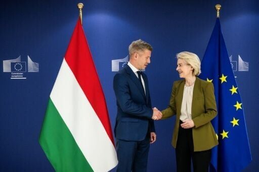 Magyar described his meeting with von der Leyen as 'highly constructive'
