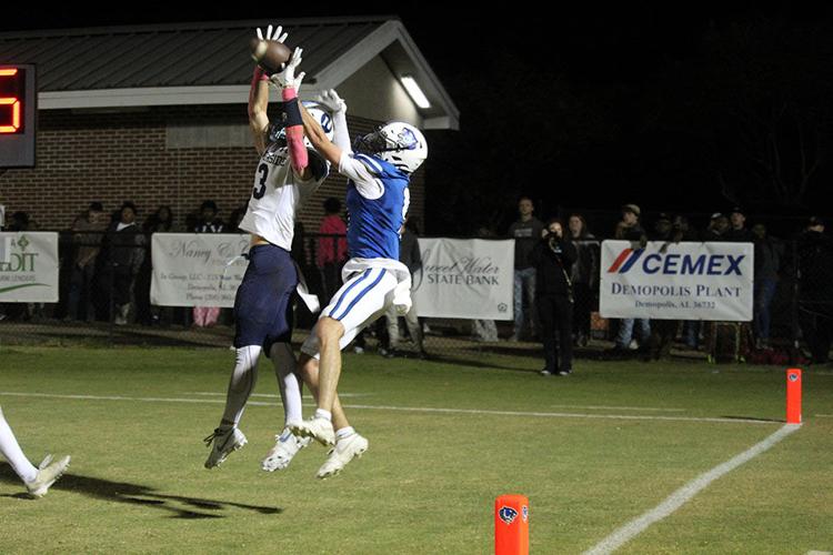 Good catch.jpg