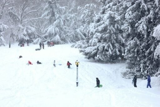 Children took advantage of the snow to sled in Central Park