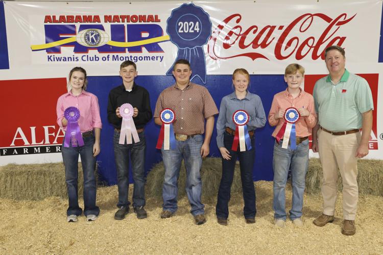 Intermediate Premier Exhibitor