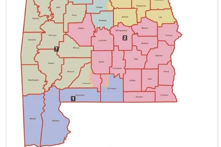 Redistricting map 1