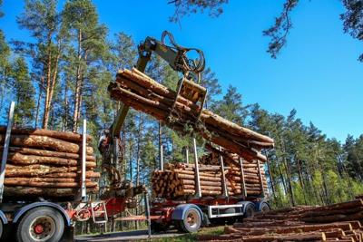 2023 Alabama Timber Market Update