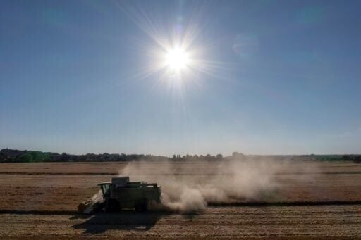 Fears for crops as drought hits northern Europe