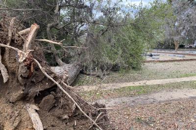 Cemeteries closed until Preservation Group, Selma Funeral Home repair tornado damage