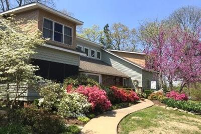 Azaleas for Lifestyle