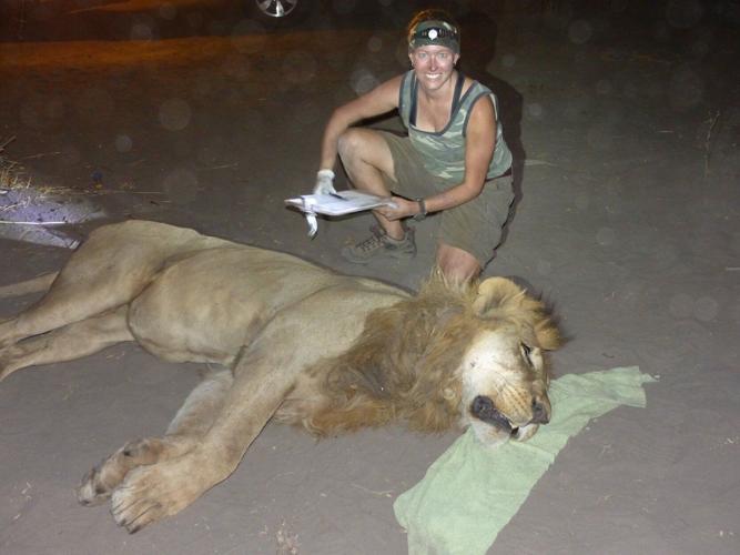 Lions track rival hyenas in the wild rather than the other way round, reveals study