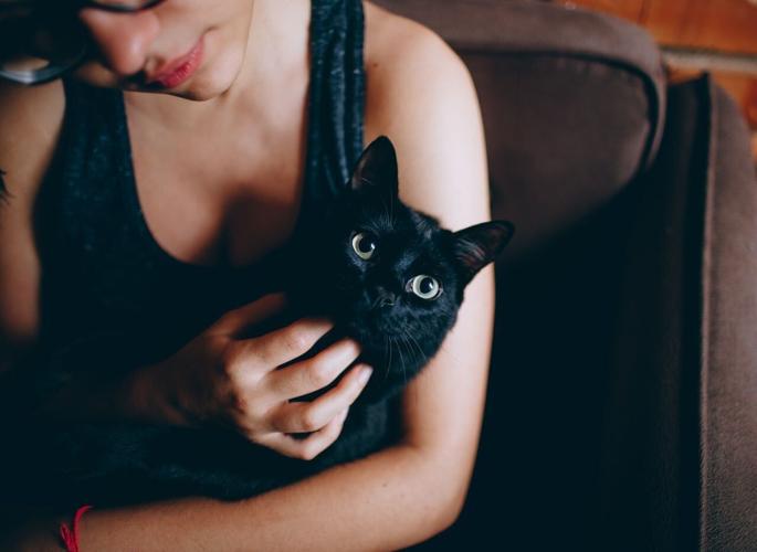 pexels-helenalopes-1123999