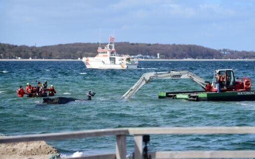 German media have broadcast the hapless creature lying motionless in shallow water for hours on end
