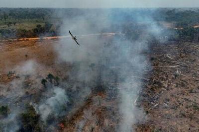 Brazil fires drive acceleration in Amazon deforestation: report