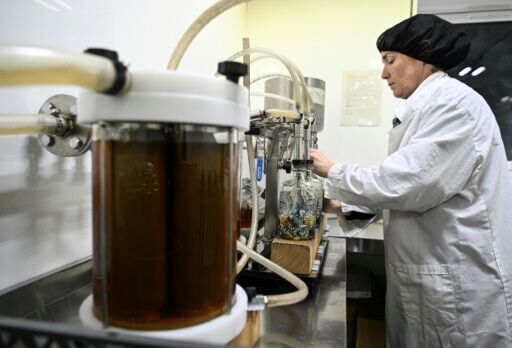 Scottish whisky makers fear return of Trump tariffs