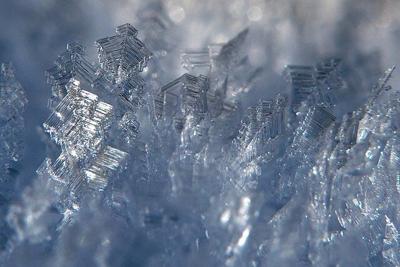Frost stock